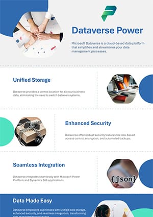 Dataverse Power - A Direction Software LLP Infographic