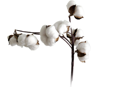 Tracking Sustainable Cotton Production in Africa